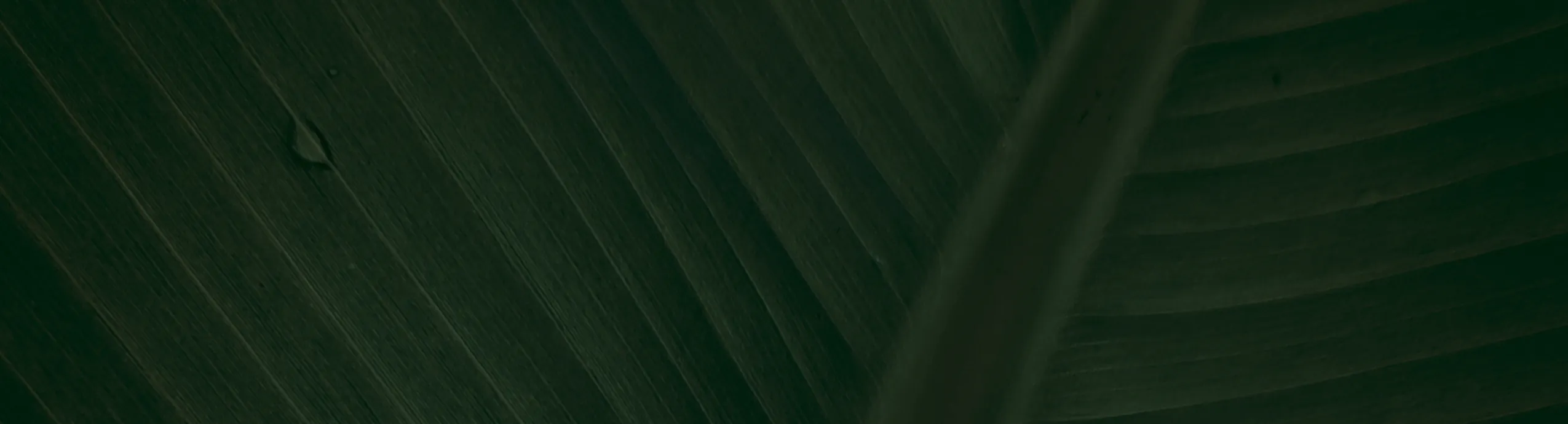 hero-image_optimized Cápitan ISAOSA